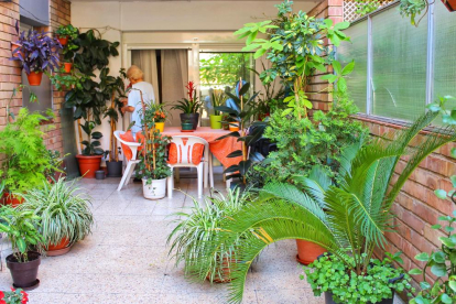 La Margarita, de Cappont, ens envia aquesta foto de la seva terrassa, que sembla un jardí, on es relaxa molt cuidant de les seves plantes.