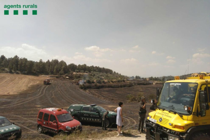Efectivos de Rurales y Bomberos ayer en el incendio en un campo de guisantes en Maldà, en el Urgell. 
