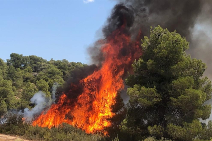 Incendi a Juncosa per una crema agrícola no autoritzada