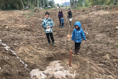 Nens i nenes van plantar arbres a l’aiguabarreig Segre-Cinca.