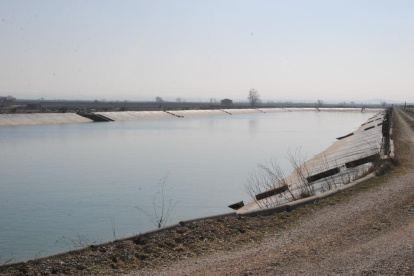 Imatge d’arxiu d’una de les basses del Canal d’Urgell a Mollerussa.