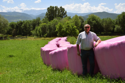 Josep Armengol mostra les bales de color rosa, a peu de l’N-260 a la Seu d’Urgell.