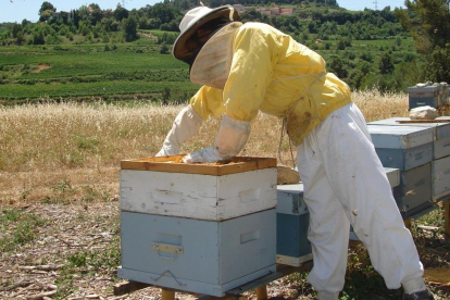 Un apicultor