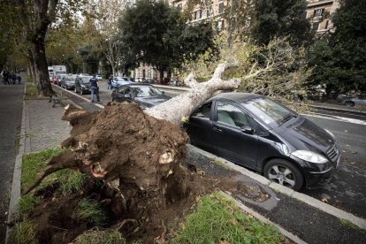 Siete fallecidos en Italia a causa de un temporal de viento y lluvia