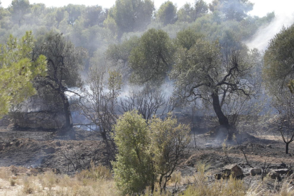 L’incendi va calcinar prop de 1.000 hectàrees als municipis de Maials i Llardecans.