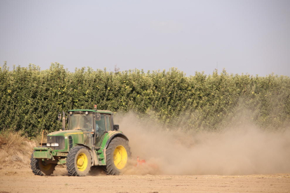 Un tractor efectua treballs de conreu de la terra en una finca d’Ivars d’Urgell.
