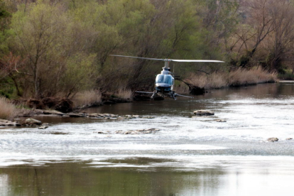 El helicóptero del COPATE fumigando contra a mosca negra en el río Segre, cerca de la depuradora de Lleida.