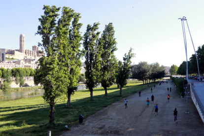 Imatge insòlita a la vora del riu a Lleida amb una gran afluència de veïns fent esport i passejant