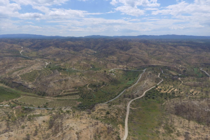 VIDEO La zona quemada por el incendio en la Ribera d'Ebre y Les Garrigues, un año después a vista de dron