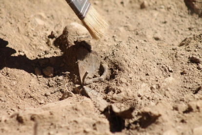 Familiars dels afusellats observen com els arqueòlegs van trobant restes a la fossa.