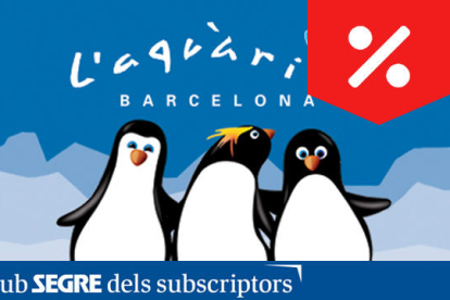 Visiteu l'Aquàrium de Barcelona i gaudiu de les activitats de cap de setmana relacionades amb el món dels pingüins.