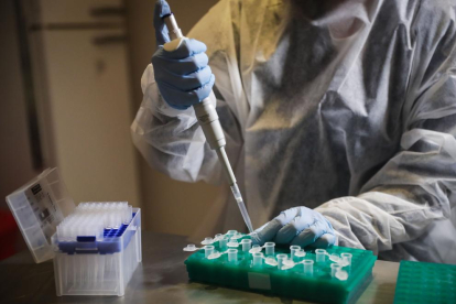 L'OMS no espera vacunacions massives contra la COVID fins a mitjans del 2021