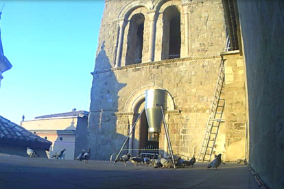 El dispositiu que s’ha col·locat a la teulada de la catedral.