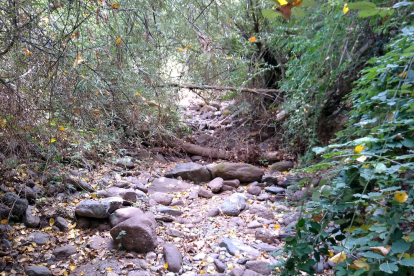 Imagen del tramo seco del río del Cantó en el Sobirà. 