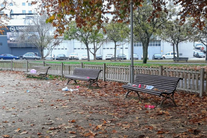 Vasos i botelles de plàstic es barrejaven amb les fulles al parc.