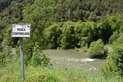 Imatge d’una de les zones controlades de pesca a l’Alt Urgell.