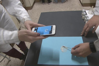 Una aplicación de móvil permite analizar la composición del arroz.