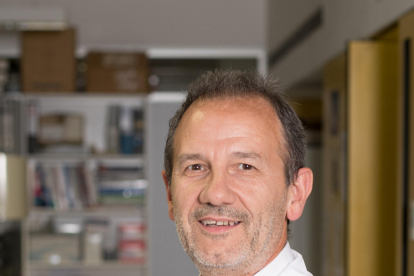 El doctor Ferran Barbé.