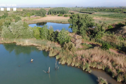 Un dron dels Rurals va sobrevolar l’estany d’Ivars i Vila-sana la setmana passada.