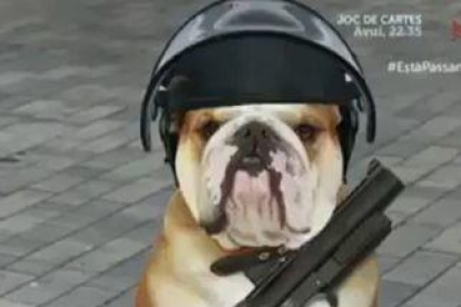 El presentador Toni Soler i la imatge del gos que es va emetre.