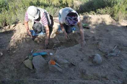 Excavaciones en la fosa común de El Cogul, el pasado mes de julio.