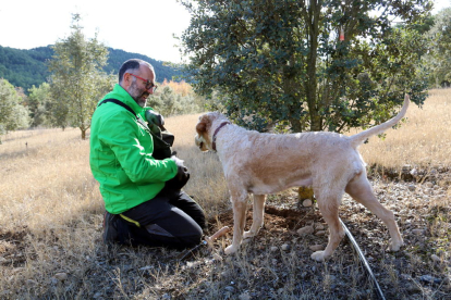 Un tècnic del CTFC busca tòfones amb un gos a Lladurs.