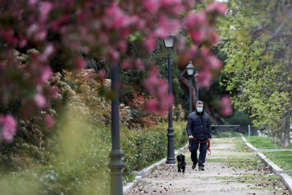 Un hombre pasea con su perro en Madrid.