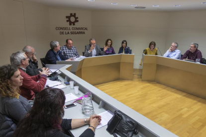Imatge d’un ple del consell comarcal de la Segarra aquest mandat.