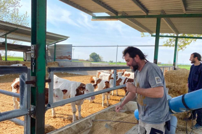 El ganadero Jesús Romero y el veterinario Juan Tutusaus, ayer en una explotación de Alcarràs.