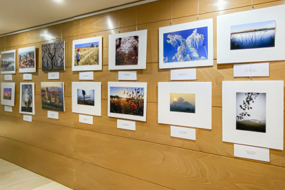 Imatge de l’exposició fotogràfica ‘Valors del Segrià’, que podrà visitar-se a Alcoletge.