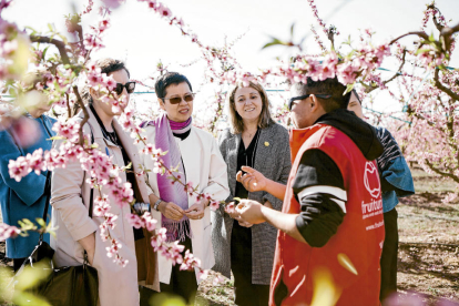 Turistes japonesos als camps florits d'Aitona