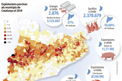 El sector de la producció de porcí de Lleida factura prop de 900 milions