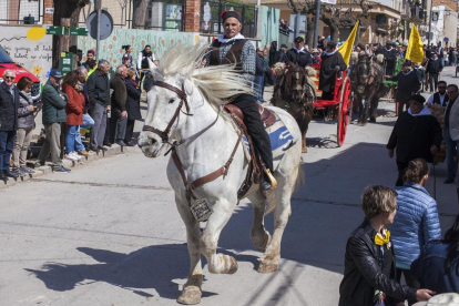 Malet, el caballo más grande de Catalunya.
