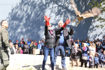 Moment en què es va alliberar una àguila amb l’ajuda dels Agents Rurals.