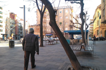 L’associació de veïns del Clot alerta d’un arbre molt inclinat a la plaça del Treball.