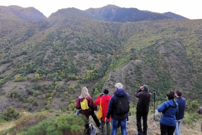 Nil, Martina, Lluc i José, veïns de la Seu, van sortir ahir a caçar bolets en un bosc de l’Alt Urgell.