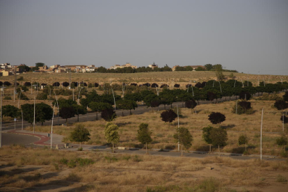 Vista de parte de los terrenos de Torre Salses, con Magraners al fondo.