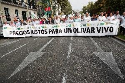 Miles de olivareros piden en Madrid que 