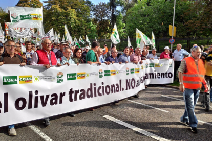 Un moment de la manifestació del sector oliverer de tot l’Estat pels carrers de Madrid.