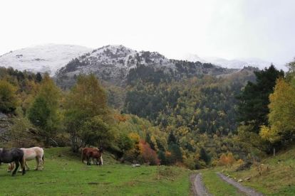 Imagen de las cumbres nevadas en el Pallars Sobirà. 