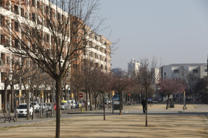 La rambla de Pardinyes és un dels carrers amb arbres morts per falta de reg, segons la Paeria.