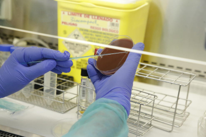 Una profesional trabajando las nuevas instalaciones del laboratorio de Microbiología.