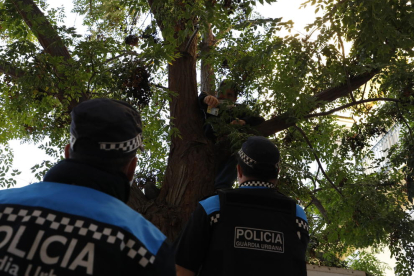 Vázquez, mostrant el seu DNI des de l’arbre a dos agents de la Guàrdia Urbana.
