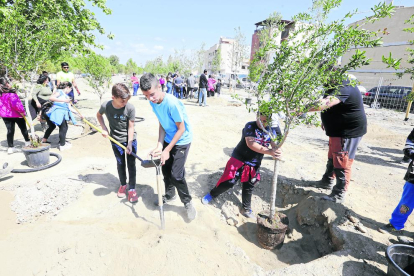 El 29 d’abril, els veïns del barri van participar en la plantació d’arbres del bosc urbà.