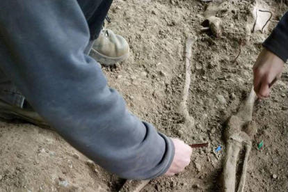 Los arqueólogos han trabajado durante cinco semanas en la fosa de Prat del Fuster. 