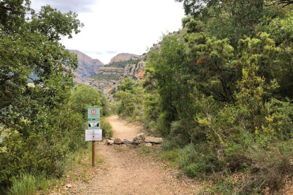 El camino de acceso al congosto desde la zona de Corçà.