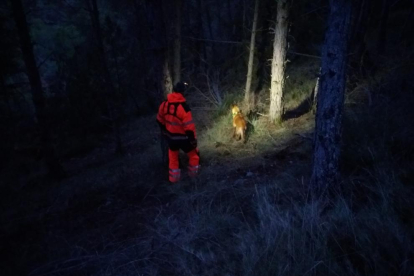 Un bomber i un gos de la unitat canina dels Bombers de la Ribagorça aragonesa, durant la recerca.