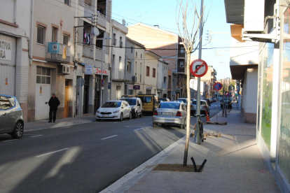 El nuevo arbolado en la avenida Catalunya. 
