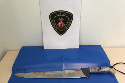 El ganivet de grans dimensions tacat de sang que han trobat els agents al lloc dels fets