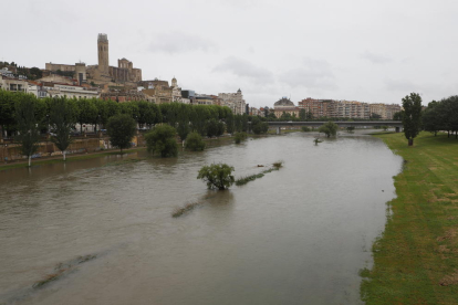 Ecologistes volen desembassaments controlats dos vegades l'any a Lleida